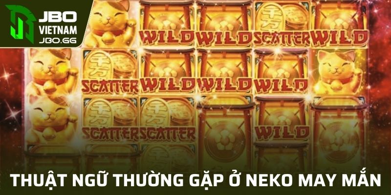Các thuật ngữ phổ biến trong Neko May Mắn