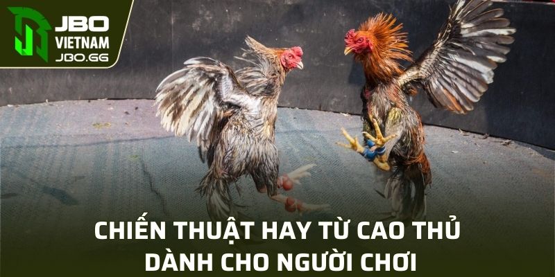 Chiến thuật hay từ cao thủ dành cho người chơi