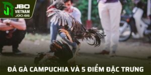 Đá Gà Campuchia