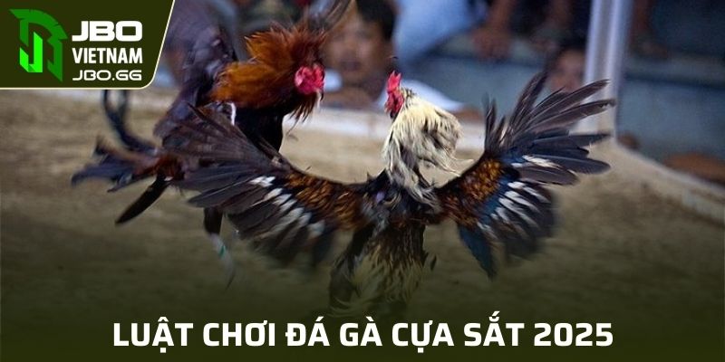 Luật chơi đá gà cựa sắt 2025
