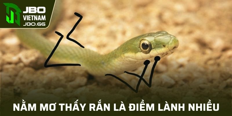 Nằm mơ thấy rắn thực ra lại là điềm lành nhiều