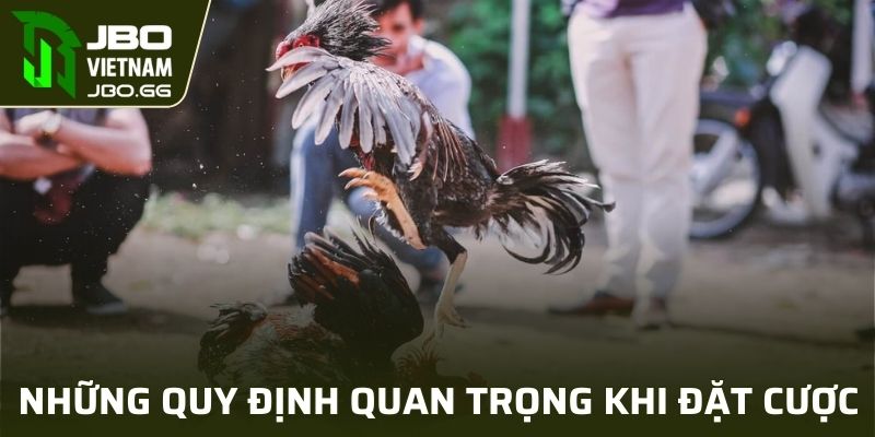 Những quy định quan trọng khi đặt cược