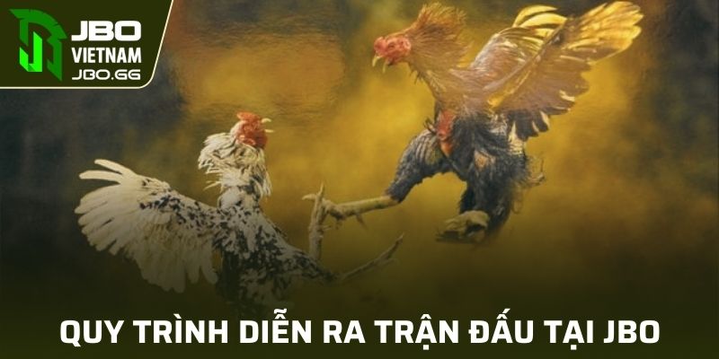 Quá trình đặt cược cực chuẩn tại nhà cái JBO