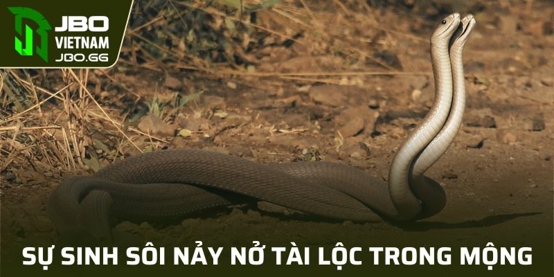 Sự sinh sôi nảy nở tài lộc trong mộng