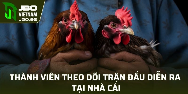 Thành viên theo dõi trận đấu diễn ra tại nhà cái