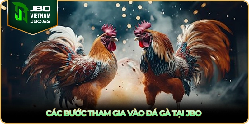 Các bước tham gia vào đá gà tại JBO