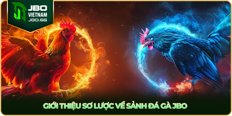 Giới thiệu sơ lược về sảnh đá gà JBO