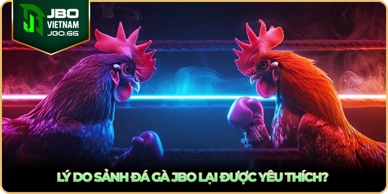 Lý do sảnh đá gà JBO lại được yêu thích?
