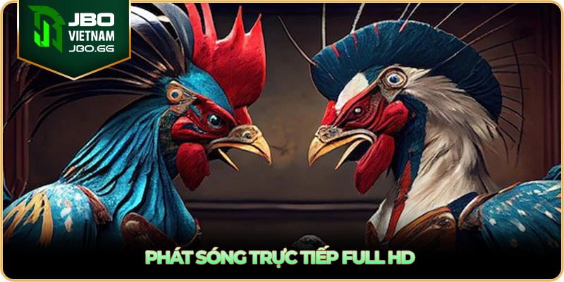 Phát sóng trực tiếp Full HD
